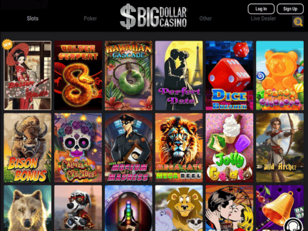 Bigdollar Casino software