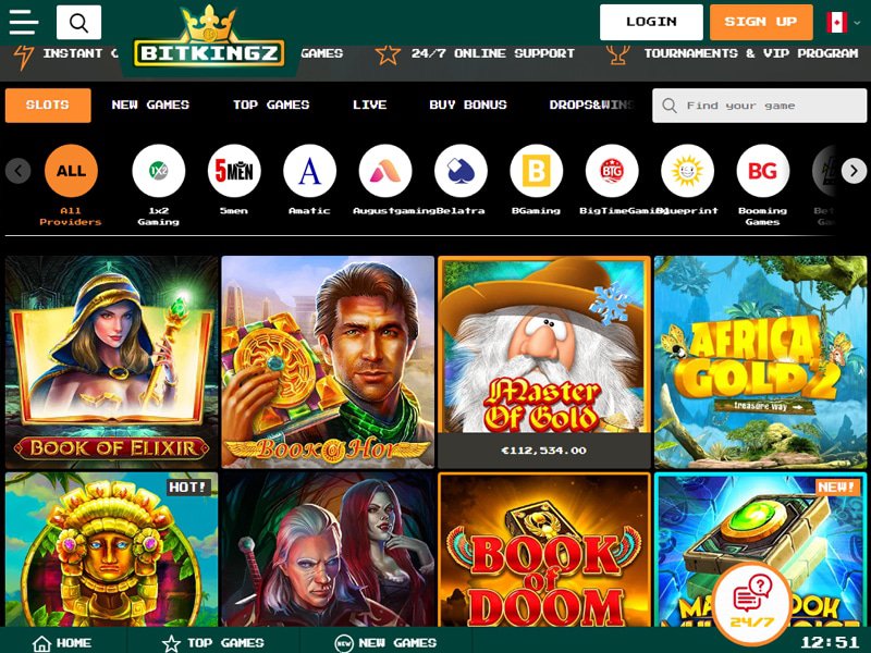 Bitkingz Casino software