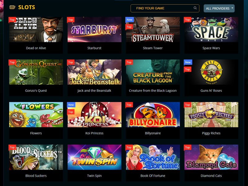 Playamo Casino software