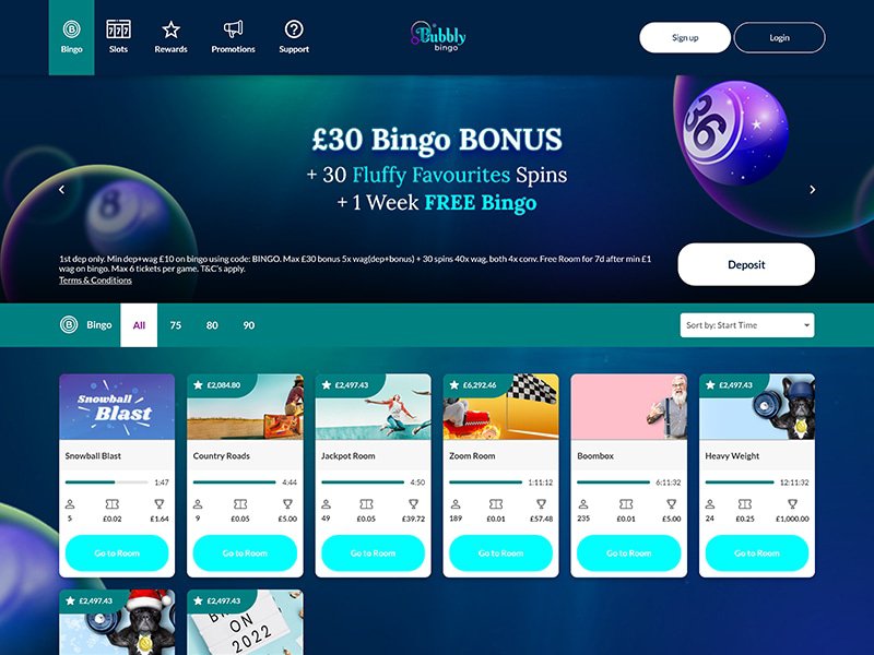 BubblyBingo website