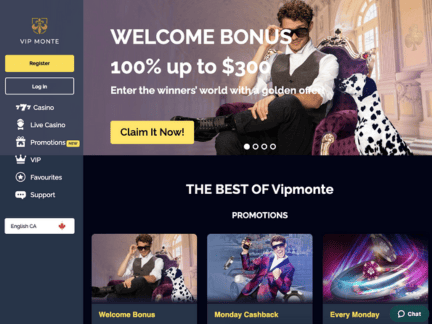 Vipmonte Casino website